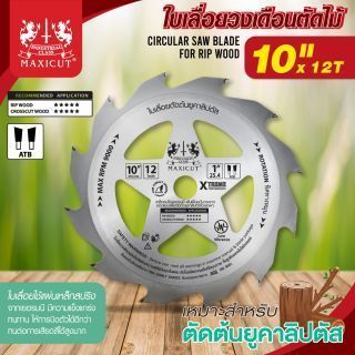 ใบเลื่อยวงเดือนมีรู 10”x12T (ATB ตัดยูคาลิปตัส) MAXICUT