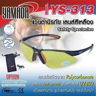 แว่นตานิรภัย313